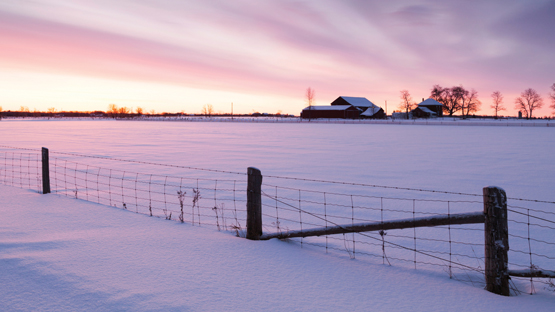 Snow covered farm